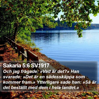Sakaria 5:6 SV1917 Bible Verse Image