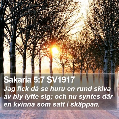 Sakaria 5:7 SV1917 Bible Verse Image