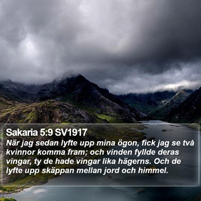 Sakaria 5:9 SV1917 Bible Verse Image