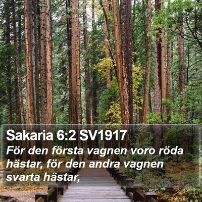 Sakaria 6:2 SV1917 Bible Verse Image