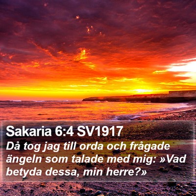 Sakaria 6:4 SV1917 Bible Verse Image