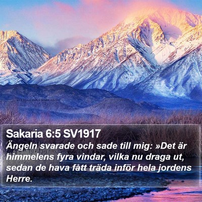 Sakaria 6:5 SV1917 Bible Verse Image