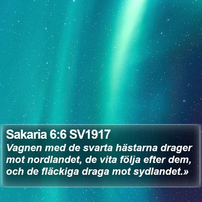 Sakaria 6:6 SV1917 Bible Verse Image