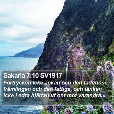 Sakaria 7:10 SV1917 Bible Verse Image