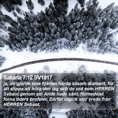Sakaria 7:12 SV1917 Bible Verse Image