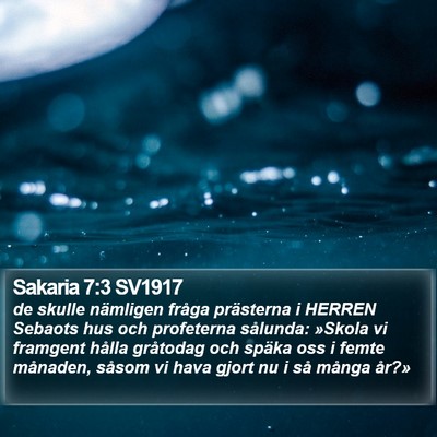 Sakaria 7:3 SV1917 Bible Verse Image