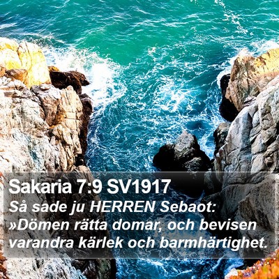 Sakaria 7:9 SV1917 Bible Verse Image
