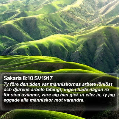 Sakaria 8:10 SV1917 Bible Verse Image