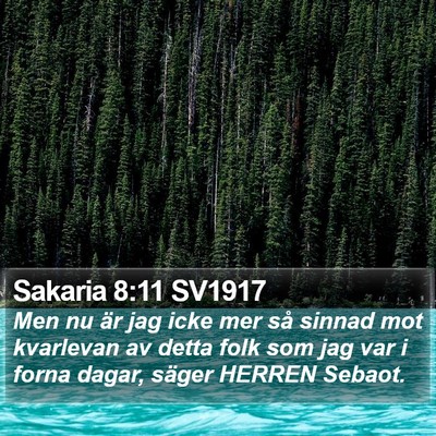 Sakaria 8:11 SV1917 Bible Verse Image