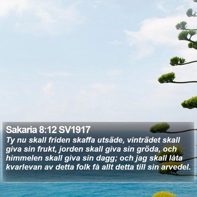 Sakaria 8:12 SV1917 Bible Verse Image