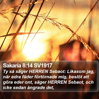 Sakaria 8:14 SV1917 Bible Verse Image