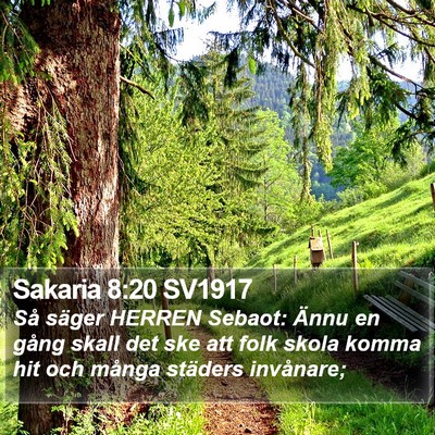 Sakaria 8:20 SV1917 Bible Verse Image