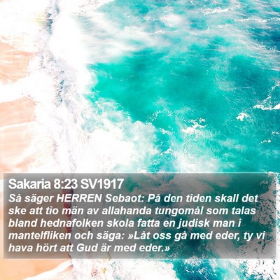 Sakaria 8:23 SV1917 Bible Verse Image