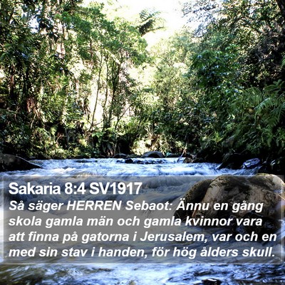 Sakaria 8:4 SV1917 Bible Verse Image
