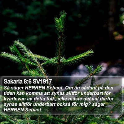 Sakaria 8:6 SV1917 Bible Verse Image