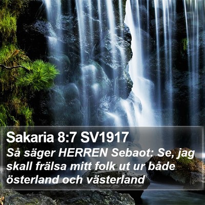 Sakaria 8:7 SV1917 Bible Verse Image