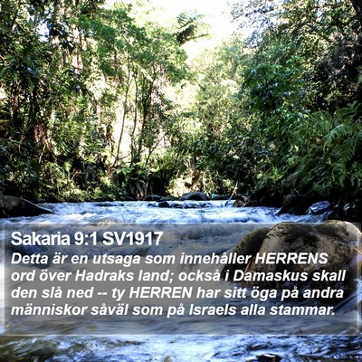 Sakaria 9:1 SV1917 Bible Verse Image