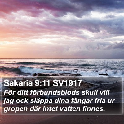 Sakaria 9:11 SV1917 Bible Verse Image