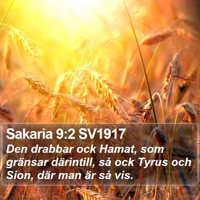 Sakaria 9:2 SV1917 Bible Verse Image