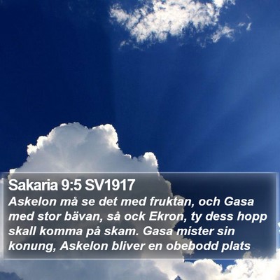 Sakaria 9:5 SV1917 Bible Verse Image