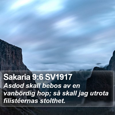 Sakaria 9:6 SV1917 Bible Verse Image