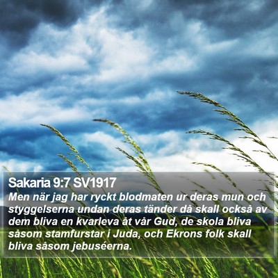 Sakaria 9:7 SV1917 Bible Verse Image