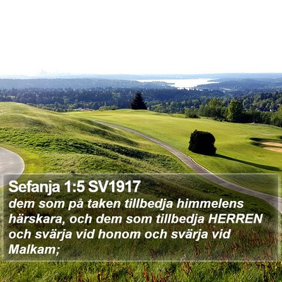 Sefanja 1:5 SV1917 Bible Verse Image