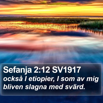 Sefanja 2:12 SV1917 Bible Verse Image