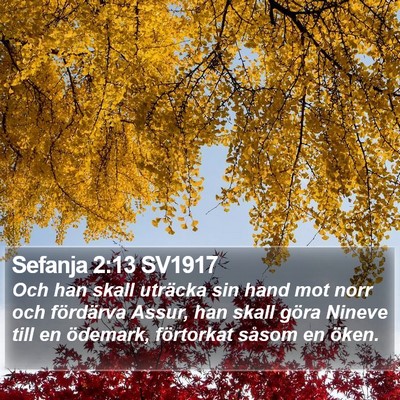 Sefanja 2:13 SV1917 Bible Verse Image