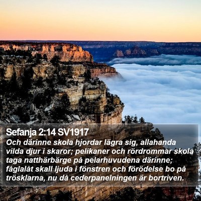 Sefanja 2:14 SV1917 Bible Verse Image