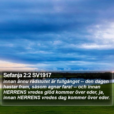 Sefanja 2:2 SV1917 Bible Verse Image