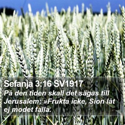 Sefanja 3:16 SV1917 Bible Verse Image