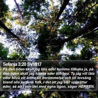 Sefanja 3:20 SV1917 Bible Verse Image