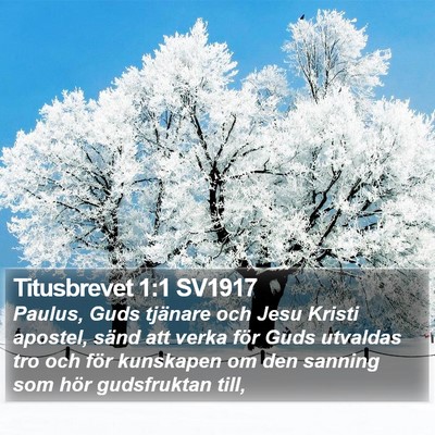 Titusbrevet 1:1 SV1917 Bible Verse Image