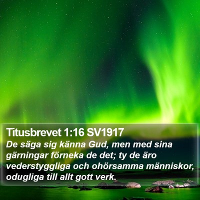 Titusbrevet 1:16 SV1917 Bible Verse Image
