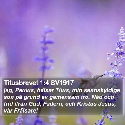 Titusbrevet 1:4 SV1917 Bible Verse Image