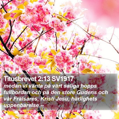 Titusbrevet 2:13 SV1917 Bible Verse Image