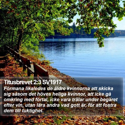 Titusbrevet 2:3 SV1917 Bible Verse Image