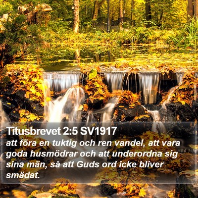 Titusbrevet 2:5 SV1917 Bible Verse Image