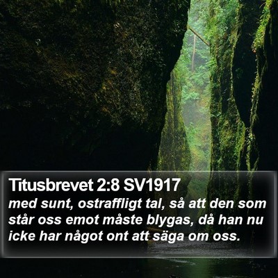 Titusbrevet 2:8 SV1917 Bible Verse Image