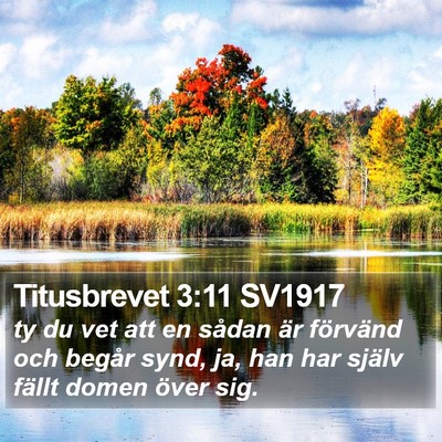 Titusbrevet 3:11 SV1917 Bible Verse Image