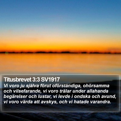 Titusbrevet 3:3 SV1917 Bible Verse Image