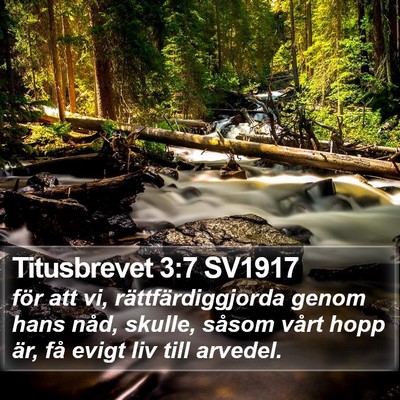 Titusbrevet 3:7 SV1917 Bible Verse Image