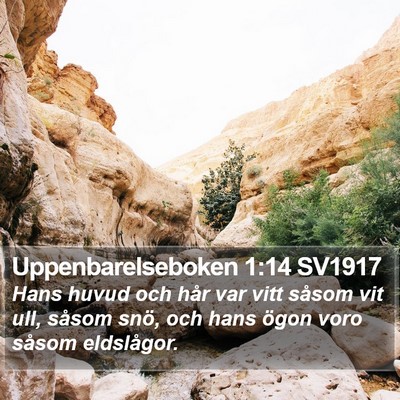 Uppenbarelseboken 1:14 SV1917 Bible Verse Image