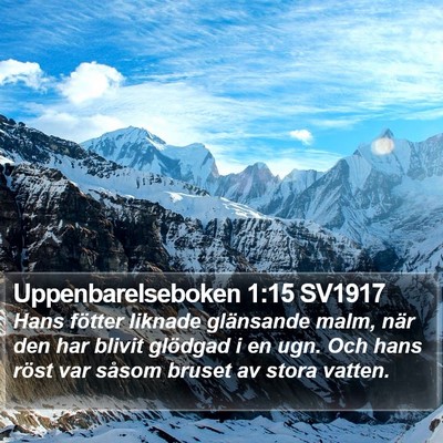 Uppenbarelseboken 1:15 SV1917 Bible Verse Image