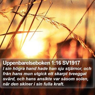 Uppenbarelseboken 1:16 SV1917 Bible Verse Image