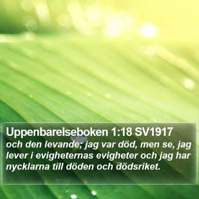 Uppenbarelseboken 1:18 SV1917 Bible Verse Image
