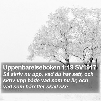 Uppenbarelseboken 1:19 SV1917 Bible Verse Image