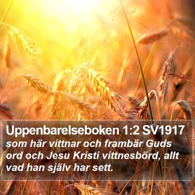 Uppenbarelseboken 1:2 SV1917 Bible Verse Image