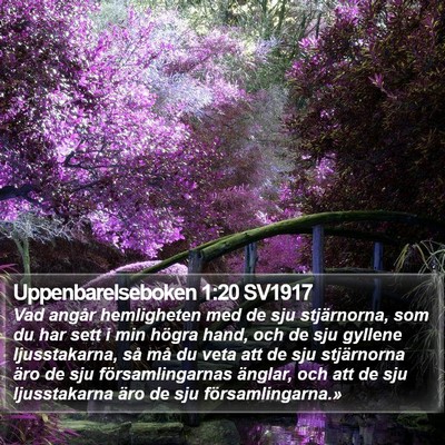 Uppenbarelseboken 1:20 SV1917 Bible Verse Image